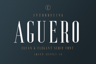 Aguero Serif: A Transitional Typeface for Brand & Design