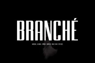 Branche: The Sans Serif Display Font for Editorial Projects