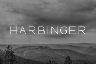 Harbinger: A Wide Sans Serif Font for Brand Building