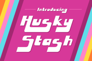 Husky Stash: The 90s Funk Font for Edgy Web Projects