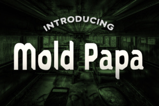 Mold Papa: A Grungy Sans Serif Font for Editorial Soul