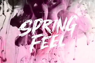 Springfeel: A Display Font for Edgy Web Design